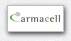 armacell logo 